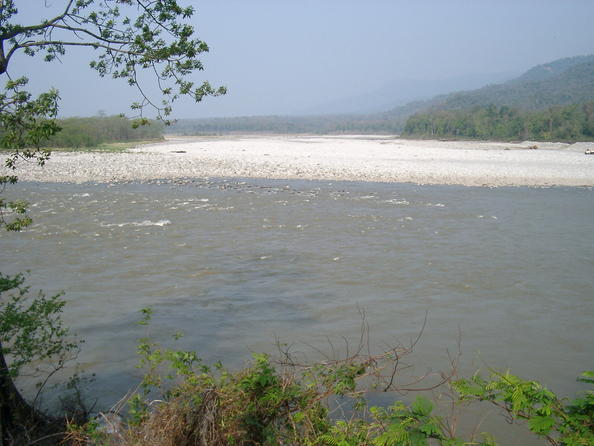 Manas Wildlife Sanctuary